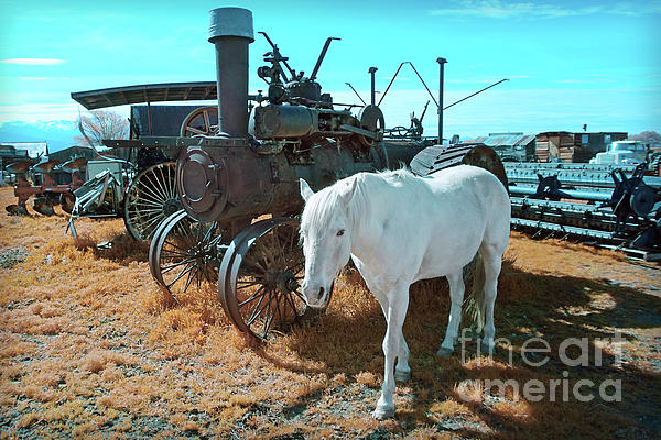 White Horse Iron Horse by Martin Konopacki White Horse Iron Horse by Martin Konopacki